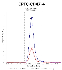 Click to enlarge image Immuno-MRM chromatogram of CPTC-CD47-4 antibody (see CPTAC assay portal for details: https://assays.cancer.gov/CPTAC-5975)
Data provided by the Paulovich Lab, Fred Hutch (https://research.fredhutch.org/paulovich/en.html). Data shown were obtained from FFPE tumor tissue lysate pool.