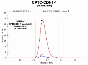 Click to enlarge image Immuno-MRM chromatogram of CPTC-CDH1-1 antibody with CPTC-CDH1 peptide 2 (NCI ID#168) as target