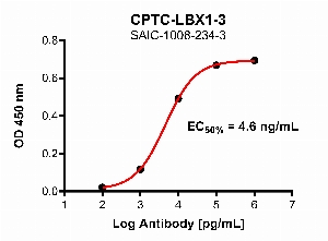 Click to enlarge image Indirect ELISA using CPTC-LBX1-3 as primary antibody against full length LBX1 protein.