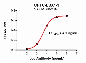 点击放大图像，使用CPTC-LBX1-3作为全长LBX1蛋白的主要抗体的间接ELISA。