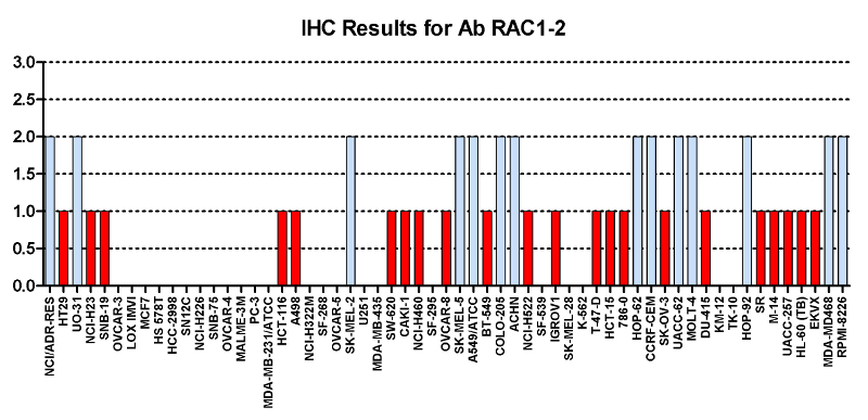 Click to enlarge image Immuno-histochemistry of CPTC-RAC1-2 for NCI60  Cell Line Array at titer 1:50
0=NEGATIVE
1=WEAK
2=MODERATE
3=STRONG
