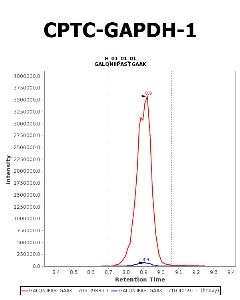 点击放大图像CPTC-GAPDH-1 iMRM