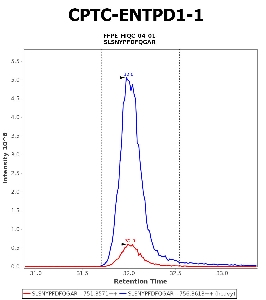 Click to enlarge image Immuno-MRM chromatogram of CPTC-ENTPD1-1 antibody (see CPTAC assay portal for details: https://assays.cancer.gov/CPTAC-5966)
Data provided by the Paulovich Lab, Fred Hutch (https://research.fredhutch.org/paulovich/en.html). Data shown were obtained from FFPE tumor tissue lysate pool.