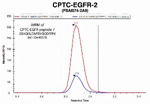 Click to enlarge image Immuno-MRM chromatogram of CPTC-EGFR-2 antibody with CPTC-EGFR peptide 7 (NCI ID#00279) as target