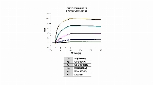 点击放大图像。使用表面等离子体共振测定CPTC-CRABP2-2和CRABP2重组蛋白的亲和力和结合动力学。将人CRABP2蛋白（His Tag）（类别号11203-H07E，Sino-Biological）交换缓冲液，然后共价固定在S系列CM5芯片上。使用1024nM、256nM、64nM、16nM、4nM和1nM的CPTC-CRABP2-2抗体作为分析物。KD、Ka和KD参数使用Biacore T200评估软件V3.2确定，使用1:2绑定模型进行全局拟合。