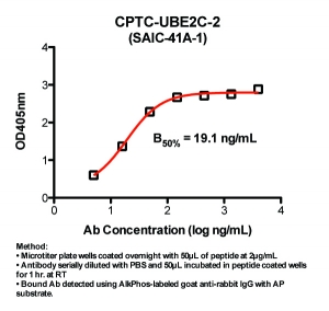 Click to enlarge image Indirect ELISA (ie, binding of Antibody to Peptide coated plate). Note: B50% represents the concentration of Ab required to generate 50% of maximum binding.