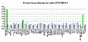 Click to enlarge image Protein Array in which CPTC-MPO-3 is screened against the NCI60 cell line panel for expression. Data is normalized to a mean signal of 1.0 and standard deviation of 0.5. Color conveys over-expression level (green), basal level (blue), under-expression level (red).