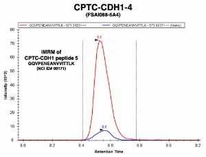 Click to enlarge image Immuno-MRM chromatogram of CPTC-CDH1-4 antibody with CPTC-CDH1 peptide 5 (NCI ID#171) as target