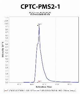 Click to enlarge image Immuno-MRM chromatogram of CPTC-PMS2-1 antibody (see CPTAC assay portal for details: https://assays.cancer.gov/CPTAC-6219)
Data provided by the Paulovich Lab, Fred Hutch (https://research.fredhutch.org/paulovich/en.html). Data shown were obtained from frozen tissue