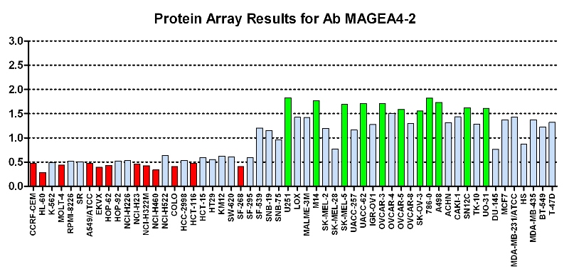 Click to enlarge image Protein Array in which CPTC-MAGEA4-2 is screened against the NCI60 cell line panel for expression. Data is normalized to a mean signal of 1.0 and standard deviation of 0.5. Color conveys over-expression level (green), basal level (blue), under-expression level (red).