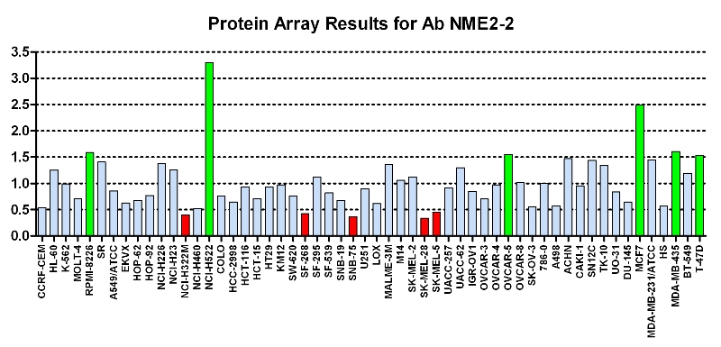 Click to enlarge image Protein Array in which CPTC-NME2-2 is screened against the NCI60 cell line panel for expression. Data is normalized to a mean signal of 1.0 and standard deviation of 0.5. Color conveys over-expression level (green), basal level (blue), under-expression level (red).