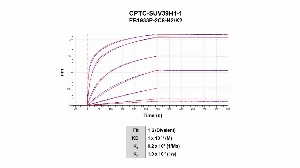 Click to enlarge image Affinity and binding kinetics of CPTC-SUV39H1-1 and BSA conjugated peptide, CLAGLPG-pS-PKKRVR, were measured using biolayer interferometry. BSA-conjugated peptide was amine coupled to the AR2G biosensors. The CPTC-SUV39H1-1 antibody at 1024 nM, 256 nM, 64 nM, 16 nM, 4 nM, 1.0 nM and 0.25 nM, was used as analyte. Buffer only and biosensors immobilized without peptide were used as references for background subtraction. All binding data were analyzed globally using a 1:2 (bivalent) fitting model.