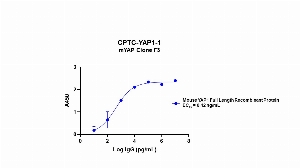 Click to enlarge image Indirect ELISA using CPTC-YAP1-1 as primary rabbit antibody against mouse YAP1 full length recombinant protein, coated on the plate and detected using the goat anti-rabbit antibody and TMB.