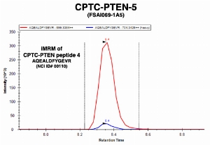 Click to enlarge image Immuno-MRM chromatogram of CPTC-PTEN-5 antibody with CPTC-PTEN peptide 4 (NCI ID#110) as target