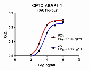 Click to enlarge image Indirect ELISA using CPTC-ASAP1-1 as primary antibody against PZA antigen (red) and ZA antigen (blue).