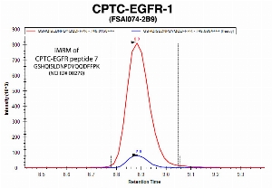 Click to enlarge image Immuno-MRM chromatogram of CPTC-EGFR-1 antibody with CPTC-EGFR peptide 4 (NCI ID#00115) as target