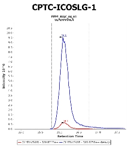 Click to enlarge image Immuno-MRM chromatogram of CPTC-ICOSLG-1 antibody (see CPTAC assay portal for details: https://assays.cancer.gov/CPTAC-5937)
Data provided by the Paulovich Lab, Fred Hutch (https://research.fredhutch.org/paulovich/en.html). Data shown were obtained from FFPE tumor tissue lysate pool.