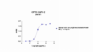 Click to enlarge image Indirect ELISA using CPTC-YAP1-2 as primary mouse antibody against mouse YAP1 full length recombinant protein, coated on the plate and detected using the goat anti-mouse antibody and TMB.