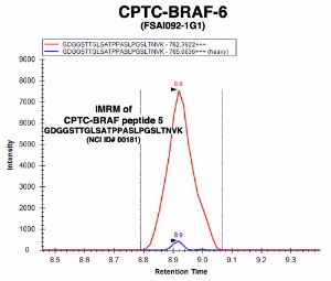 Click to enlarge image Immuno-MRM chromatogram of CPTC-BRAF-6 antibody with CPTC-BRAF peptide 5 (NCI ID#181) as target