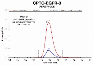 Click to enlarge image Immuno-MRM chromatogram of CPTC-EGFR-3 antibody with CPTC-EGFR peptide 7 (NCI ID#00279) as target