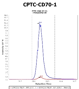 Click to enlarge image Immuno-MRM chromatogram of CPTC-CD70-1 antibody (see CPTAC assay portal for details: https://assays.cancer.gov/CPTAC-5959)
Data provided by the Paulovich Lab, Fred Hutch (https://research.fredhutch.org/paulovich/en.html). Data shown were obtained from FFPE tumor tissue lysate pool.