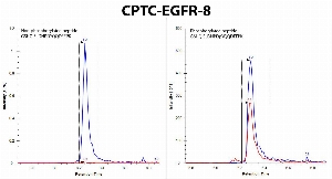 Click to enlarge image Immuno-MRM chromatogram of CPTC-EGFR-10 antibody showing that the antibody is able to specifically pull down the phosphorylated peptide : GSHQISLDNPDpYQQDFFPK  (red signal on right panel), but not the correspondent non-phosprylated peptide GSHQISLDNPDYQQDFFPK  (no red signal in left panel). 
Data provided by the Paulovich Lab, Fred Hutch (https://research.fredhutch.org/paulovich/en.html). Data shown were obtained from synthetic peptides