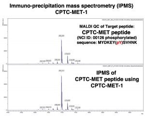 Click to enlarge image Immuno-Precipitation Mass Spectrometry using CPTC-MET-1 antibody with CPTC-MET peptide (NCI ID 00126) as the target antigen (sequence: MYDKEY(pY)SVHNK)
 