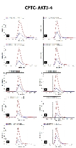 Click to enlarge image iMRM screening results for clone CPTC-AKT3-4. The clone is able to pull down not only the target peptide (panel 1, AKT Serine/Threonine Kinase 3 Peptide 4, RPHFPQF(pS)YSASGRE), but also the following peptides: 
AKT3 tryptic phosphorylated peptide (RPHFPQF(pS)YSASGR, panel 2)
AKT3 semi-tryptic non-phosphorylated peptide(RPHFPQFSYSASGRE, panel 3)
AKT3 tryptic non-phosphorylated peptide(RPHFPQFSYSASGRE, panel 4)
AKT2 Peptide 3 (THFPQF(pS)YSASIRE, panel 5)
AKT2 tryptic phosphorylated peptide (THFPQF(pS)YSASIR, panel 6)
AKT2 semi-tryptic non-phosphorylated peptide (THFPQFSYSASIRE, panel 7)
AKT2 tryptic non-phosphorylated peptide (THFPQFSYSASIR, panel 8)
AKT1 Peptide 3 (RPHFPQF(pS)YSASGTA, panel 9)
AKT1 non-phosphorylated peptide (RPHFPQFSYSASGTA, panel 10)

Data provided by the Paulovich Lab, Fred Hutch (https://research.fredhutch.org/paulovich/en.html)