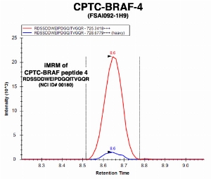 Click to enlarge image Immuno-MRM chromatogram of CPTC-BRAF-4 antibody with CPTC-BRAF peptide 4 (NCI ID#180) as target