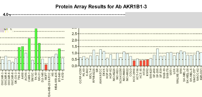 Click to enlarge image Protein Array in which CPTC-AKR1B1-3 is screened against the NCI60 cell line panel for expression. Data is normalized to a mean signal of 1.0 and standard deviation of 0.5. Color conveys over-expression level (green), basal level (blue), under-expression level (red).