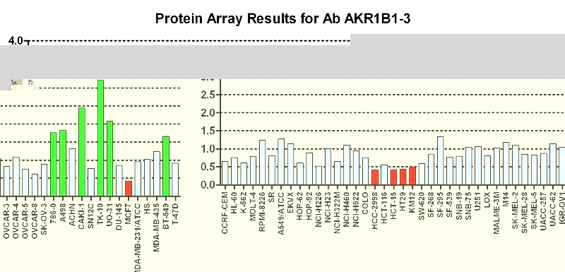 点击放大图像蛋白质阵列，其中CPTC-AKR1B1-3与NCI60细胞系面板进行筛选以表达。数据标准化为平均信号1.0和标准偏差0.5。颜色表示过度表达水平（绿色）、基本水平（蓝色）、欠表达水平（红色）。