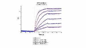 Click to enlarge image The affinity and binding kinetics of CPTC-CGB-11 and BSA-conjugated Chorionic Gonadotropin Subunit Beta Peptide 2 (BSA-CDHPLT(CAM)DDRP) were measured using biolayer interferometry. CPTC-CGB-11 was covalently immobilized on amine-reactive second-generation sensors. BSA-conjugated peptide, 2.0 nM, 1.0 nM, 0.5 nM, 0.25 nM, 0.125 nM and 0.0625 nM, was used as analyte.