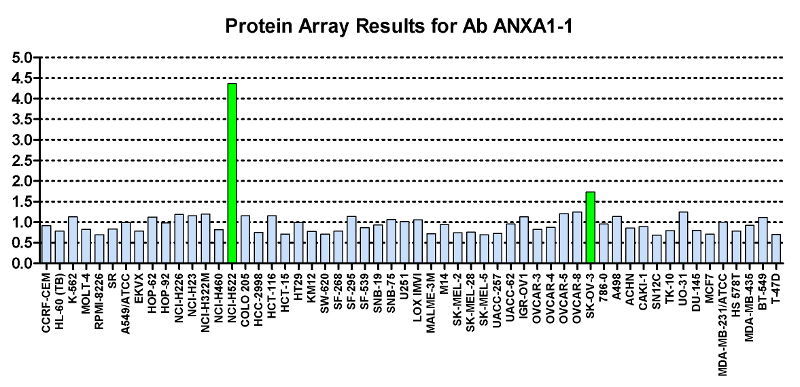 Click to enlarge image Protein Array in which CPTC-ANXA1-1 is screened against the NCI60 cell line panel for expression. Data is normalized to a mean signal of 1.0 and standard deviation of 0.5.