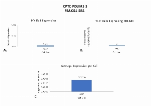 Click to enlarge image Single cell western blot using CPTC-PDLIM1-3 as a primary antibody against cell lysates.  Relative expression of total PDLIM1 in MCF7 cells (A).  Percentage of cells that express PDLIM1 (B).  Average expression of PDLIM1 protein per cell (C).  All data is normalized to β-tubulin expression.