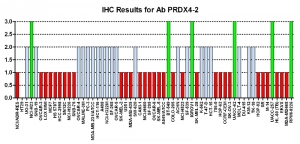 Click to enlarge image Immunohistochemistry of CPTC-PRDX4-2 for NCI60 Cell Line Array. Data scored as:
0=NEGATIVE
1=WEAK (red)
2=MODERATE (blue)
3=STRONG (green)
titer: 1:5000