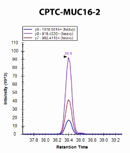 Click to enlarge image iMRM screening of CPTC-MUC16-2 against synthetic peptide NTSVGPLYSGC[+57]R  (Mucin 16 Peptide 1)

Data provided by the Carr Lab, Broad Institute
https://www.broadinstitute.org/proteomics/protocols