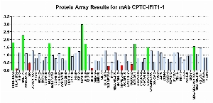 Click to enlarge image Protein Array in which CPTC-IFIT1-1 is screened against the NCI60 cell line panel for expression. Data is normalized to a mean signal of 1.0 and standard deviation of 0.5. Color conveys over-expression level (green), basal level (blue), under-expression level (red).