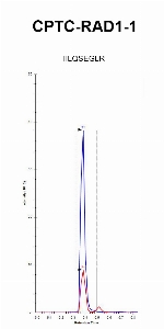 Click to enlarge image iMRM Chromatogram of antibody CPTC-RAD1-1