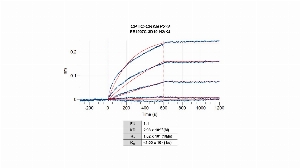 Click to enlarge image The affinity and binding kinetics of CPTC-CRABP2-2 and CRABP2 recombinant protein were measured using biolayer interferometry. Human CRABP2 protein (His Tag) (Cat# 11203-H07E, Sino Biological) was buffer exchanged and then covalently immobilized onto amine-reactive second-generation, AR2G, biosensors. CPTC-CRABP2-2 antibody at 256 nM, 64 nM, 16 nM, 4 nM and 1 nM, was used as analyte. KD, Ka, and Kd parameters were determined with Octet Data Analysis HT evaluation software v11.1.3.50 using a 1:1 binding model with global fitting.