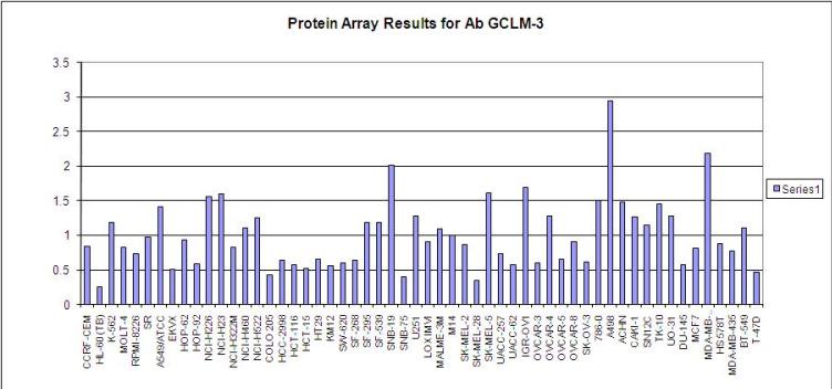 Click to enlarge image Protein Array in which CPTC-GCLM-3 is screened against the NCI60 cell line panel for expression. Data is normalized to a mean signal of 1.0 and standard deviation of 0.5.