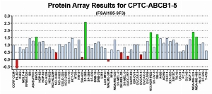 Click to enlarge image This antibody is not suitable for use in a Reverse Phase Protein Array format as described in SOP M-105.