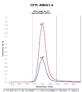 Click to enlarge image "Immuno-MRM chromatogram of CPTC-ANXA1-4 antibody (see CPTAC assay portal for details: https://assays.cancer.gov/CPTAC-5940)
Data provided by the Paulovich Lab, Fred Hutch (https://research.fredhutch.org/paulovich/en.html)"
Data shown were obtained from FFPE tumor tissue lysate pool.