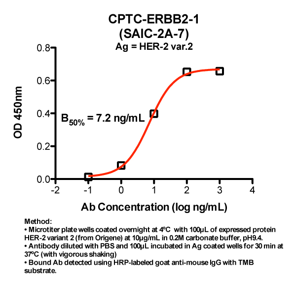 Click to enlarge image Indirect ELISA (ie, binding of Antibody to full-length Antigen coated on plate). Recombinant ERBB2 antigen, variant 2, from transfected HEK293T cells (Origene, Inc.)Note: B50% represents the concentration of Ab required to generate 50% of maximum binding.