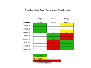 Click to enlarge image This table shows cross reactivity within the AKR1 family of antigens.