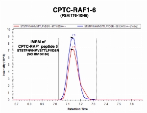 Click to enlarge image Immuno-MRM chromatogram of CPTC-RAF1-6 antibody with CPTC-RAF1 peptide 5 (NCI ID#186) as target