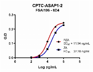 Click to enlarge image Indirect ELISA using CPTC-ASAP1-2 as primary antibody against PZA antigen (red) and ZA antigen (blue).