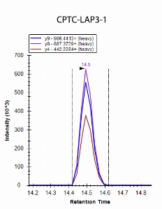 Click to enlarge image iMRM data obtained using antibody CPTC-LAP3-1 to immuno-precipitate peptide TIQVDNTDAEGR (CPTC-LAP3 Peptide 1)

Data provided by the Carr Lab, Broad Institute
https://www.broadinstitute.org/proteomics/protocols