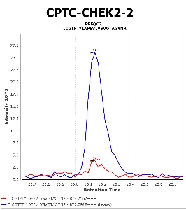 Click to enlarge image Immuno-MRM chromatogram of CPTC-CHEK2-2 antibody (see CPTAC assay portal for details: https://assays.cancer.gov/CPTAC-5894)
Data provided by the Paulovich Lab, Fred Hutch (https://research.fredhutch.org/paulovich/en.html). Data shown were obtained from cell lysate.