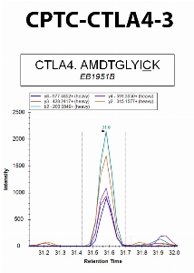 Click to enlarge image Immuno-MRM using CPTC-CTLA4-3 as capture antibody against the synthetic peptide AMDTGLYICK. Antibody CPTC-CTLA4-3 captures the synthetic peptide.
