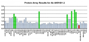 Click to enlarge image Protein Array in which CPTC-AKR1B1-2 is screened against the NCI60 cell line panel for expression. Data is normalized to a mean signal of 1.0 and standard deviation of 0.5. Color conveys over-expression level (green), basal level (blue), under-expression level (red).